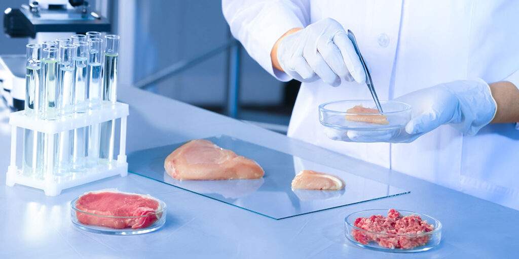 Various raw meats in a laboratory