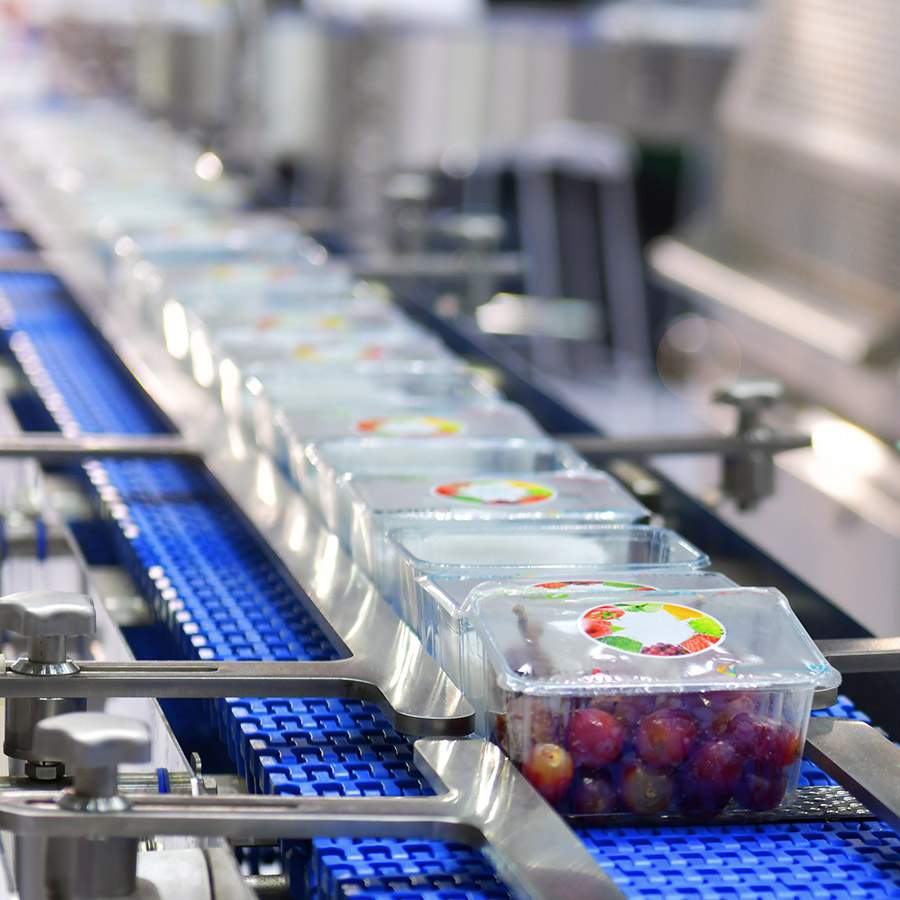 Packaged food on a conveyor belt